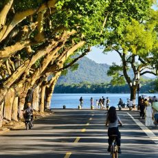 514380505_122114856998895652_7641391396889111576_n