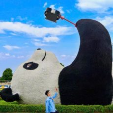 519615328_122118631988895652_5494810367338107169_n